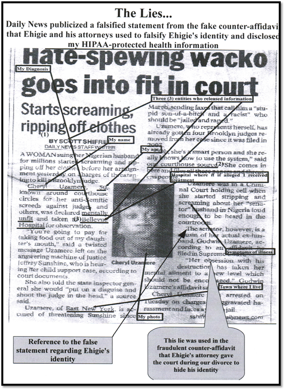 dailynewsarticle3.jpg