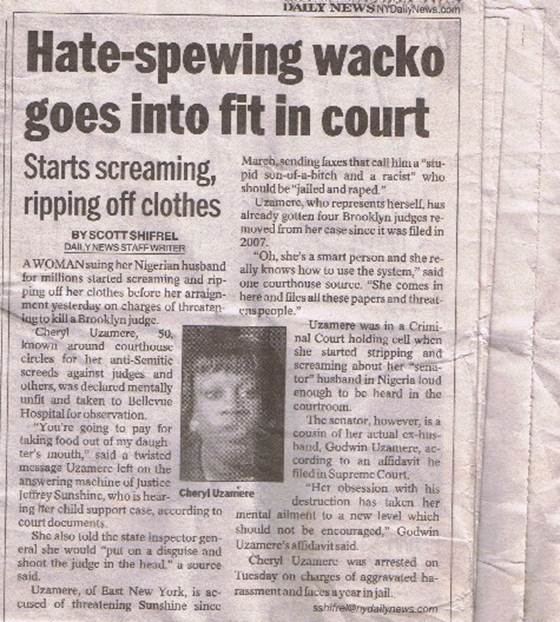 dailynewsarticle2.jpg